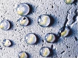 Гидрофобизатор Типром Д ( 1:20 - суперконцентрат). 1 л.